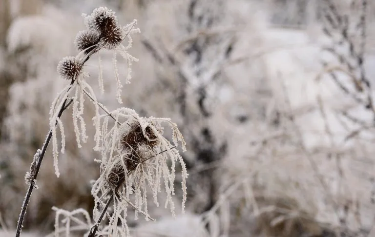 Meteo Capodanno, arriva il gelo dalla Russia: crollo delle temperature