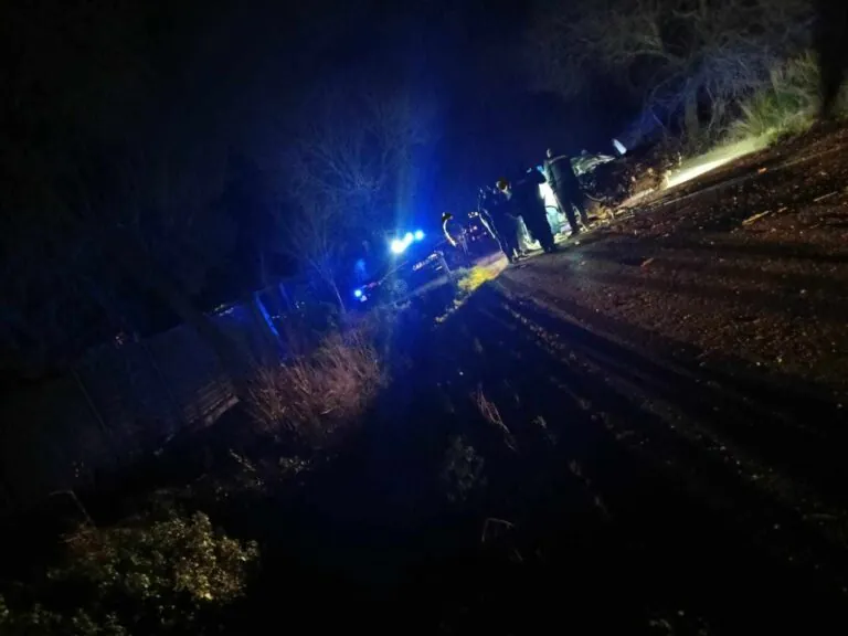 Sbanda e si schianta contro albero, paura per il conducente