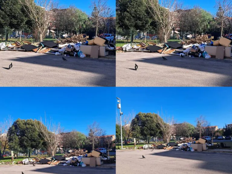 Discarica a cielo aperto nei pressi di abitazioni e parco, residenti allo stremo