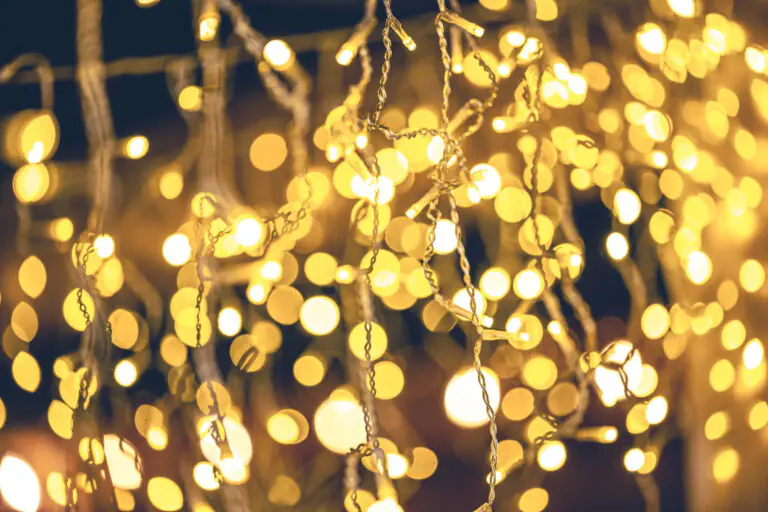 Rube le luminarie della villetta per addobbare il suo albero e finisce nei guai