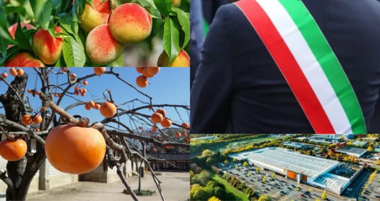 L’azienda del sindaco assegnataria di un lotto nell’area Pip del Comune
