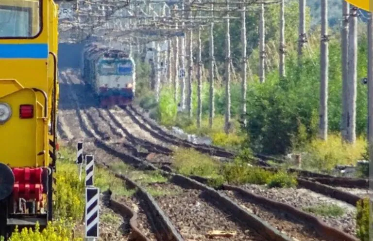 Vuole lanciarsi contro treno in corsa, choc alla stazione