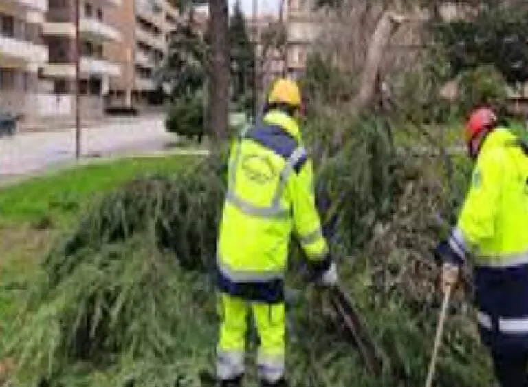 Il ciclone Harry arriva nel Casertano: alberi crollati e raffiche oltre gli 80 km/h