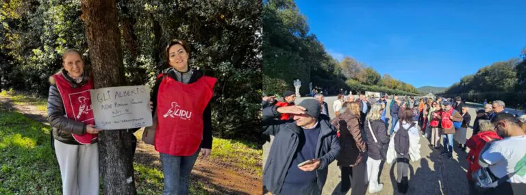 Se a Caserta gli alberi sapessero parlare impartirebbero lezioni di buonsenso