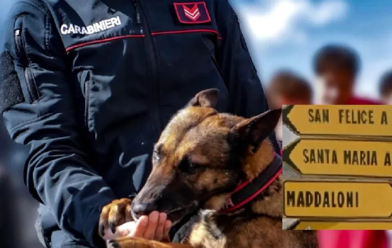Operazione antidroga, 34enne arrestato dopo il blitz a casa dei carabinieri