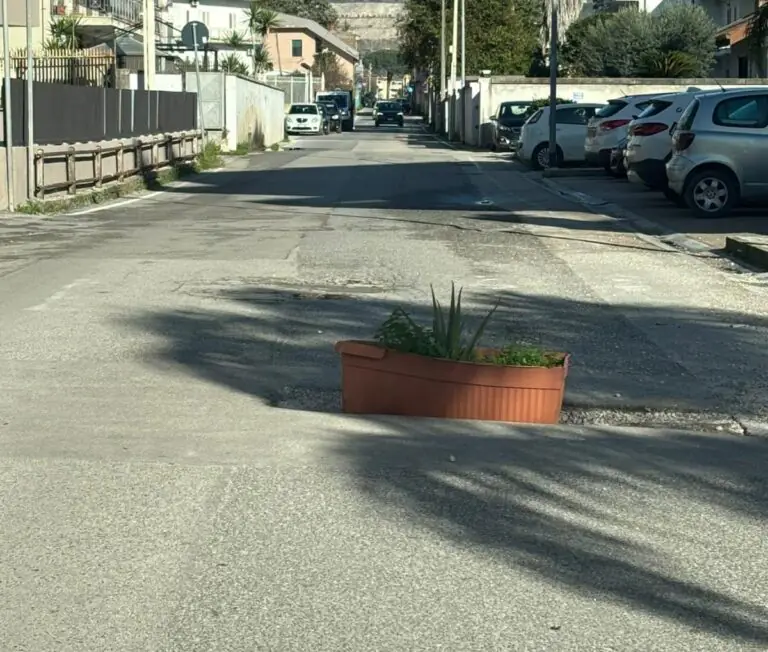 Maxi vaso con pianta grassa per segnalare voragine