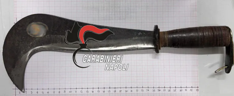 Pensionato in giro con un’ascia di 27 centimetri: “Vado in campagna”