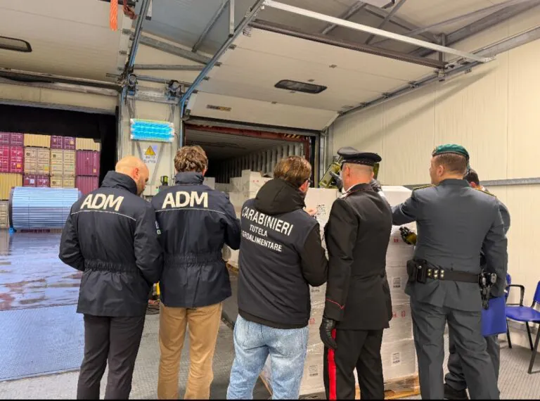 Sequestrate 18 tonnellate di olio extravergine “pezzotto”