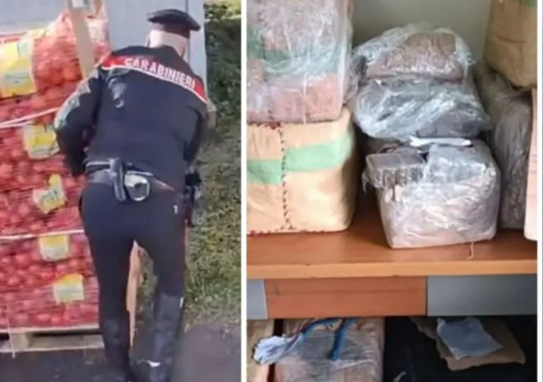 Sequestro record nel Casertano: fermato carico di 387 chili di droga. Era nascosta tra la frutta