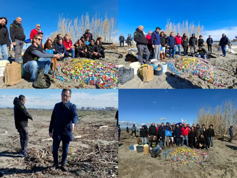 Volontari di oltre 40 associazioni puliscono la spiaggia: trovate carcasse di tartaruga e di cane
