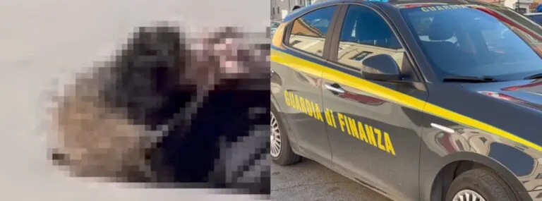 Tenta furto in pieno centro, piombano le forze dell’ordine