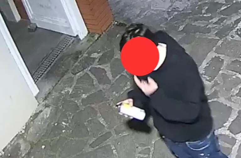 Provoca danni alla Villa Comunale: beccato il vandalo