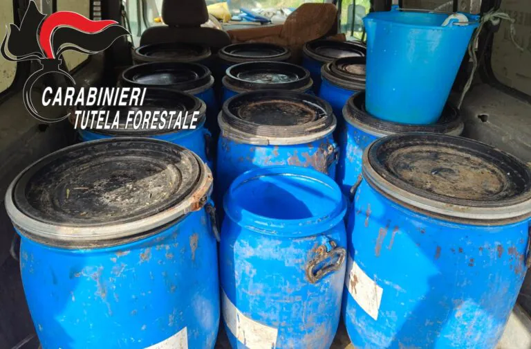 Militari fermano furgone e sequestrano 240 litri di latte