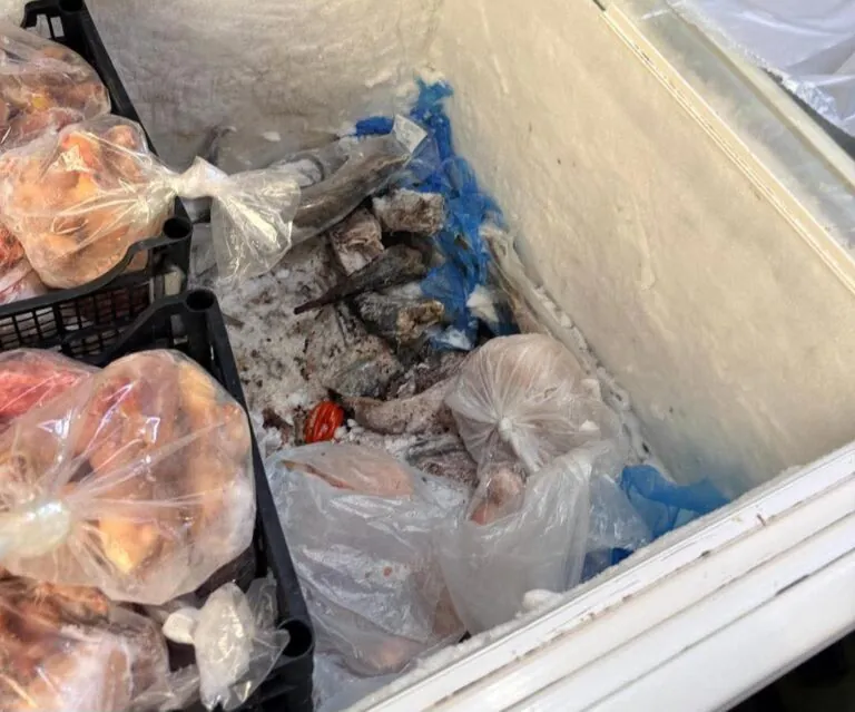 Polizia chiude negozio con cibo scaduto: sequestro record di carne e pesce