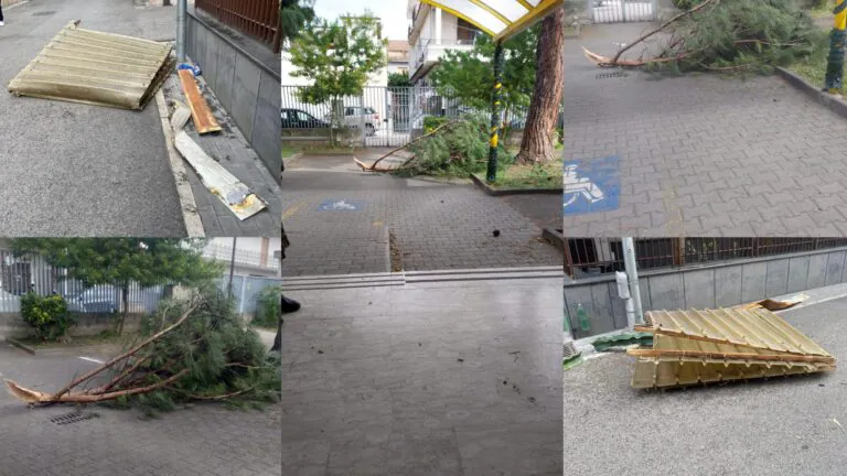 Raffiche di vento, albero si spezza e cade nell’area interna della scuola elementare