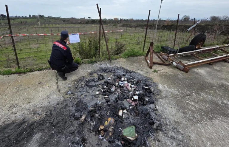 Danno alle fiamme di tutto e si mettono nei guai dopo blitz