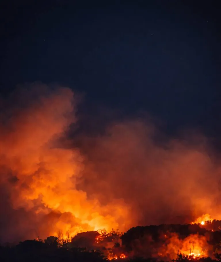 Maxi incendio sul monte, fiamme minacciano le abitazioni