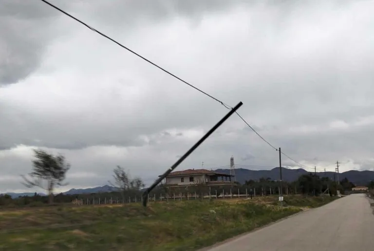 Pali abbattuti dal forte vento lungo la Provinciale