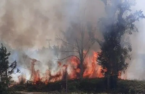 Rifiuti a fuoco in un campo