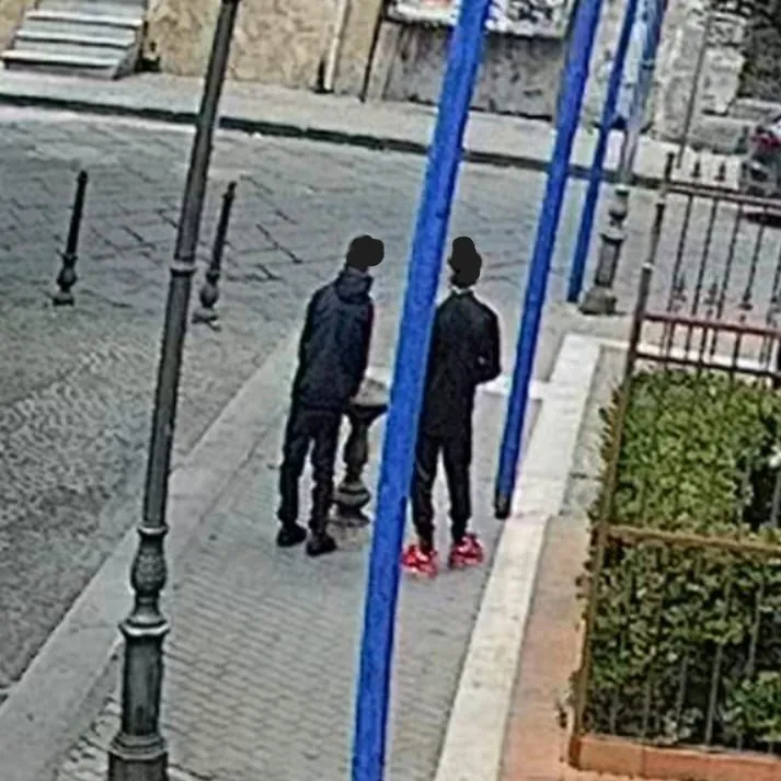 Vandali in azione in pieno giorno nel parco