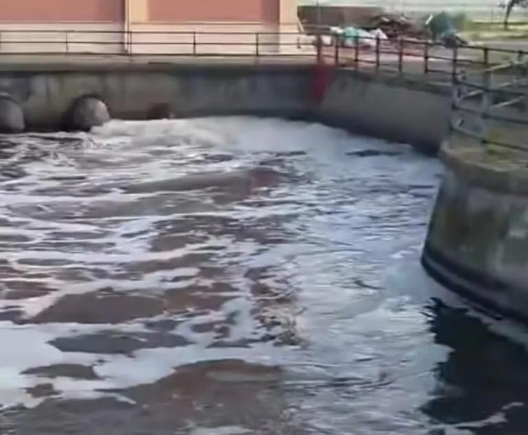Sversamenti illegali, acqua sporca sul litorale. Video