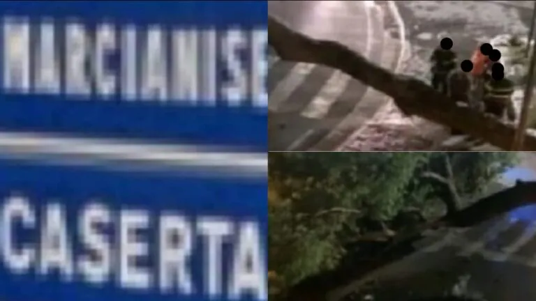 Vento forte abbatte albero, paura e disagi nel Rione