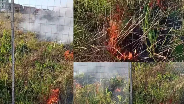 Fanno esplodere rogo nella vegetazione coi fuochi d’artificio