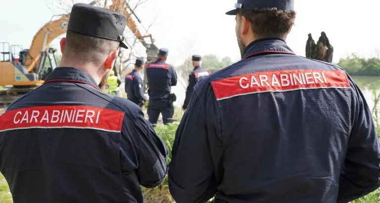 Intervento boschivo senza autorizzazione: scatta la sanzione