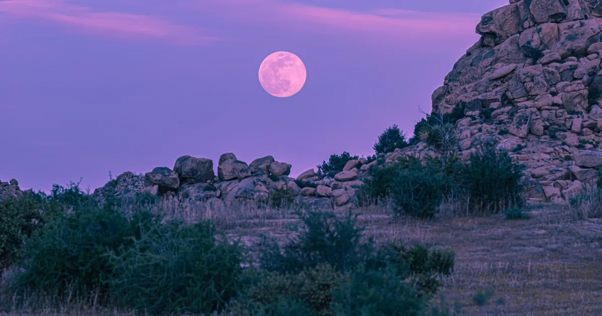 luna rosa