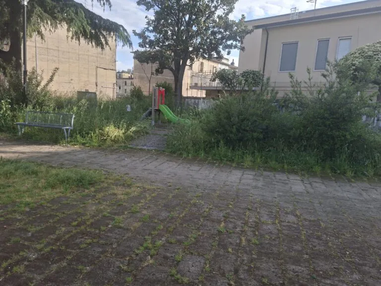 La giostrina per disabili affoga tra le sterpaglie