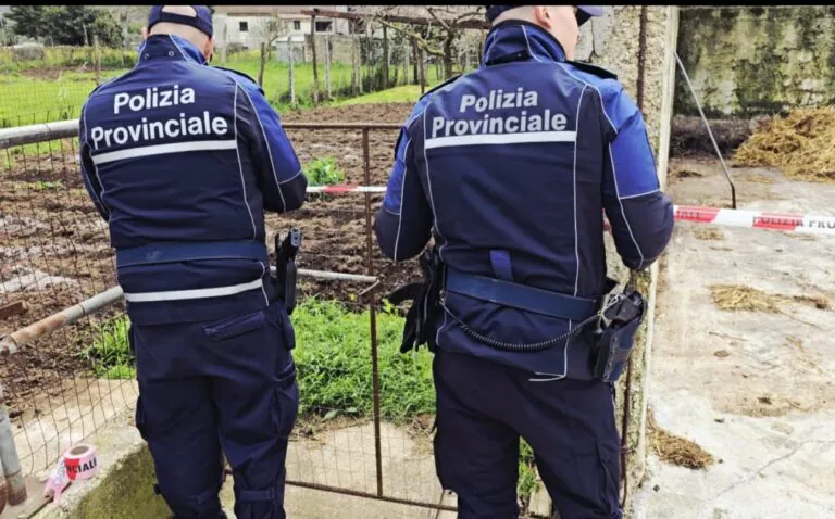 Li fa lavorare tra le bufale per 2 euro all’ora fino a sera, imprenditore nei guai dopo blitz