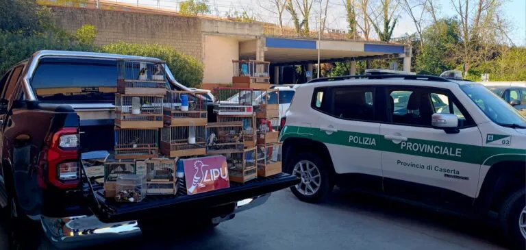 Tiene 200 uccelli in casa: polizia glieli toglie tutti