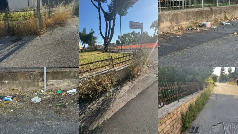 Degrado nella zona nord-est: erbacce, rifiuti e scarso decoro. Bisogna dare subito risposte