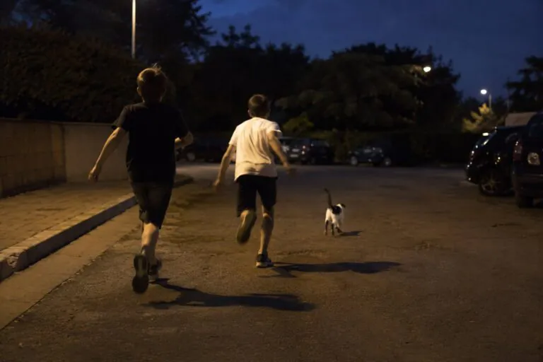 Inseguono e maltrattano un gattino in strada nei pressi del supermercato: orrore in città