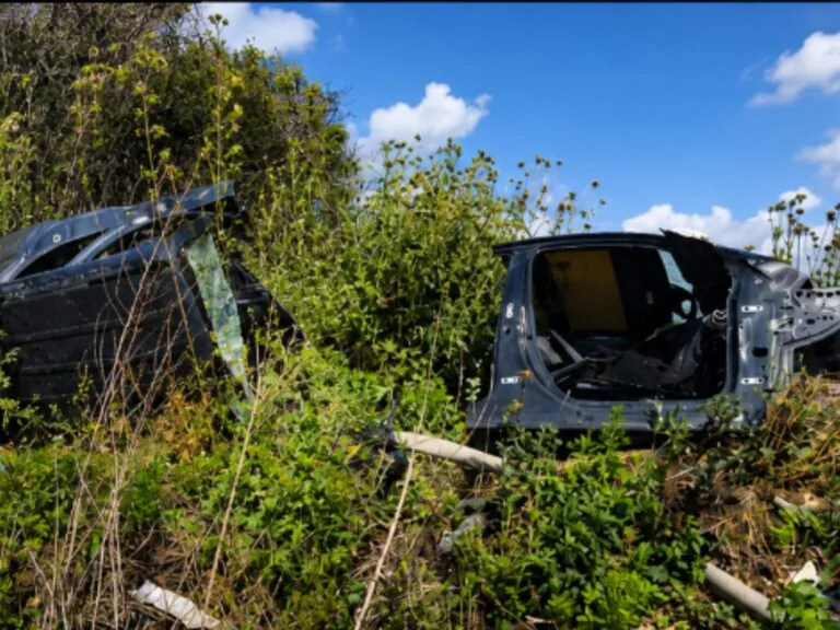 Cimitero delle auto rubate scoperto in periferia