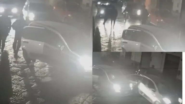 Armati di spranga tentano di aggredire gli occupanti di un’auto, paura in strada