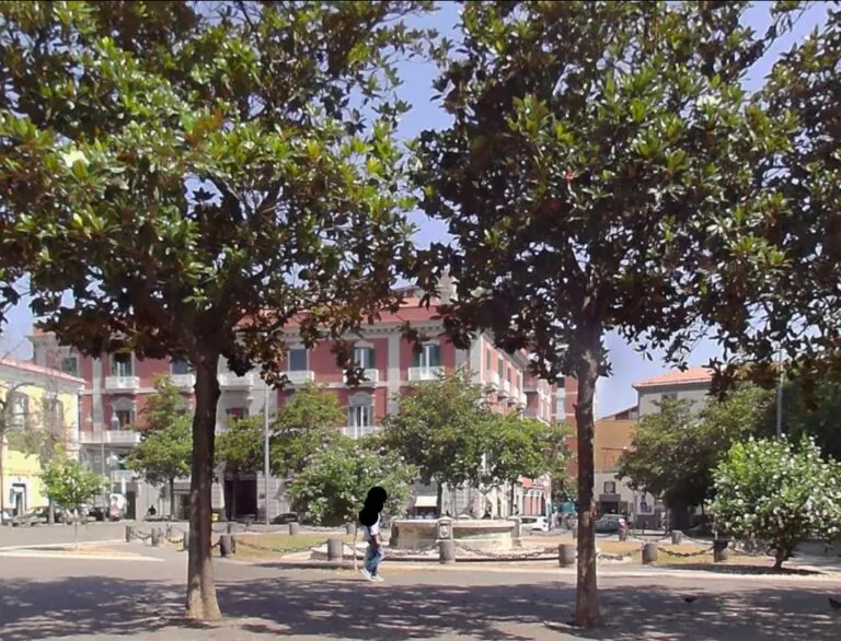 Urla e si avvicina minaccioso a un uomo e suo figlio, paura in piazza