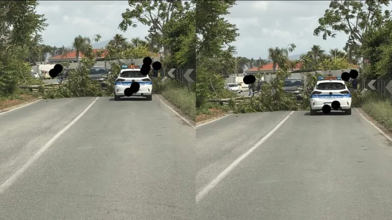 Albero cade su auto nella zona dei centri commerciali, traffico in tilt
