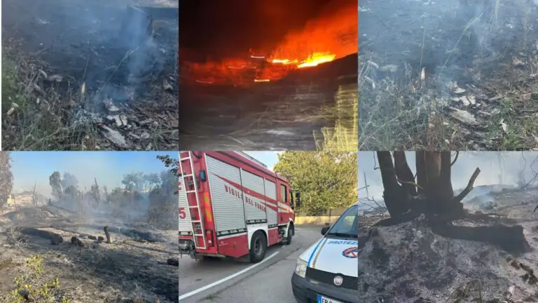 Continui roghi sul litorale, Protezione Civile e pompieri in azione