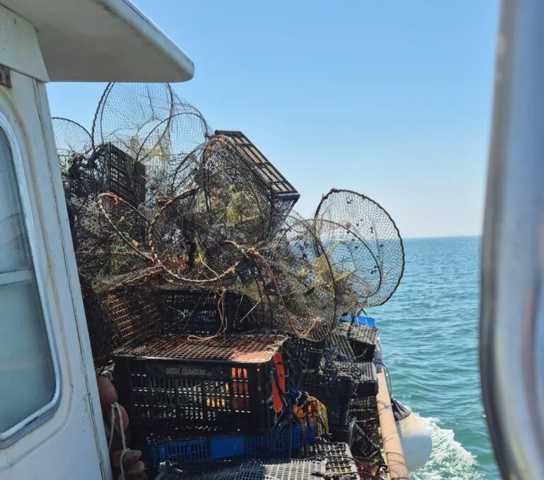 Blitz sul litorale, rimosse 800 nasse illegali