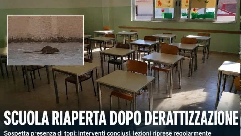 Allarme topi a scuola, si torna in classe dopo il maxi intervento