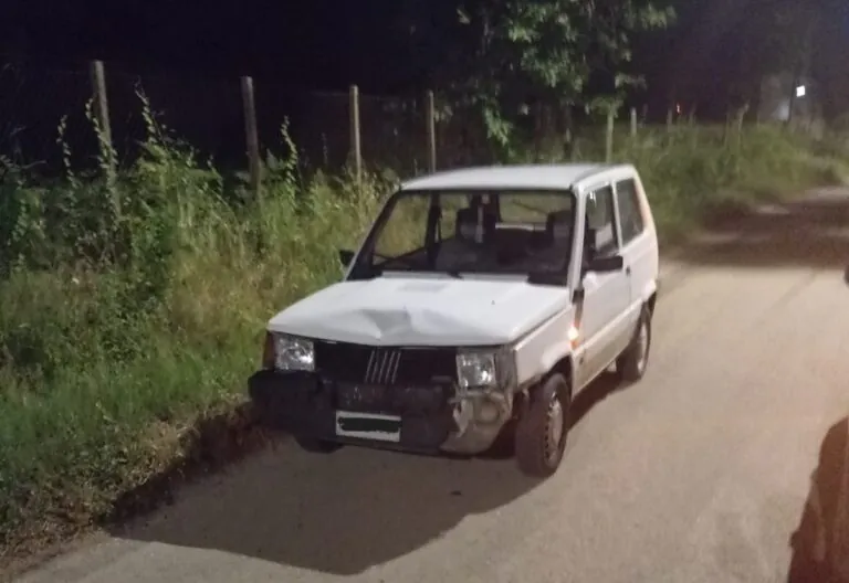 Cinghiale compare all’improvviso e auto lo centra, paura per il conducente