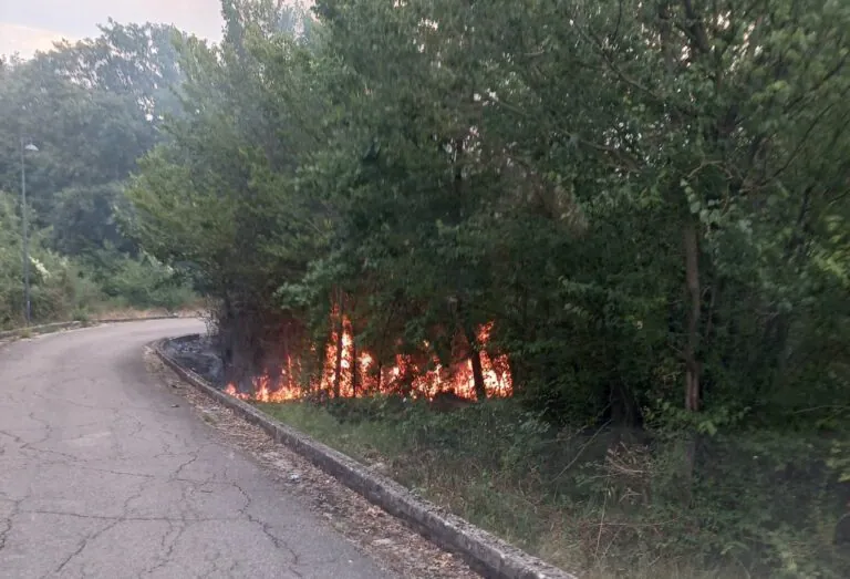 Terreni a fuoco nei pressi della strada panoramica, arrivano i pompieri