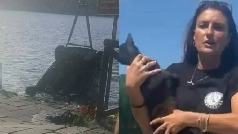 Auto finisce nel lago, donna si tuffa per salvare gattino intrappolato