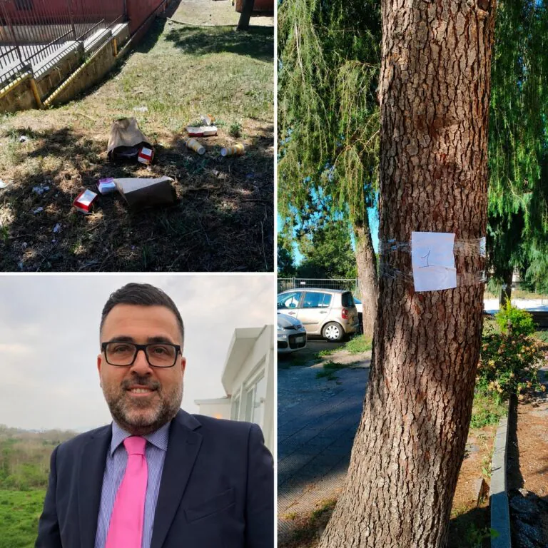 Il Comitato denuncia: «Alberi abbattuti, scuola insicura e Comune assente»