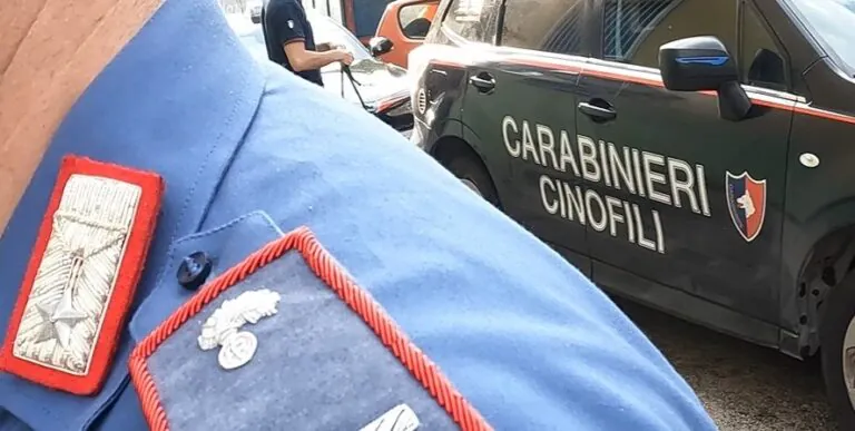 Cani antidroga e specialisti del pezzotto in azione coi carabinieri, scoperti allacci abusivi
