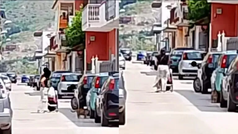 Tenta di entrare nella case per rubare, è allarme