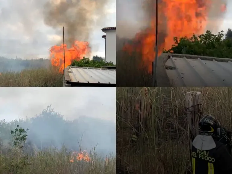 Maxi rogo in un’area verde, pompieri in azione
