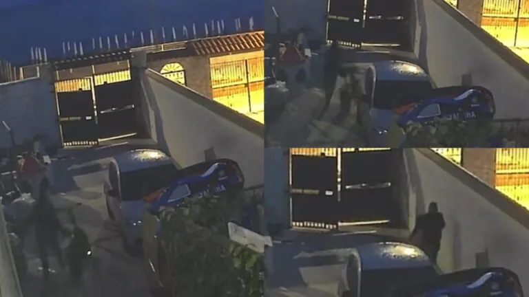 Irrompe nel cortile di casa e mette a segno furto
