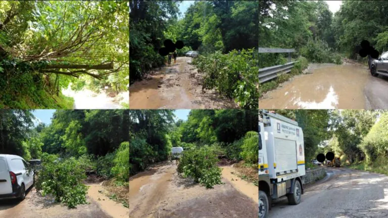 Maltempo si abbatte sulla città, alberi caduti e frane
